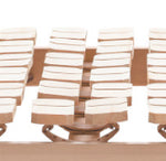 Laden Sie das Bild in den Galerie-Viewer, dormiente Tellerrost Ergo Zirbe Pro S
